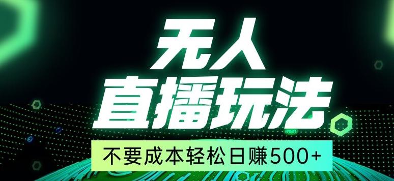 全网首发24年最新无人直播玩法，不需要成本，无需人力，一台电脑24小时为你工作-点子口袋网