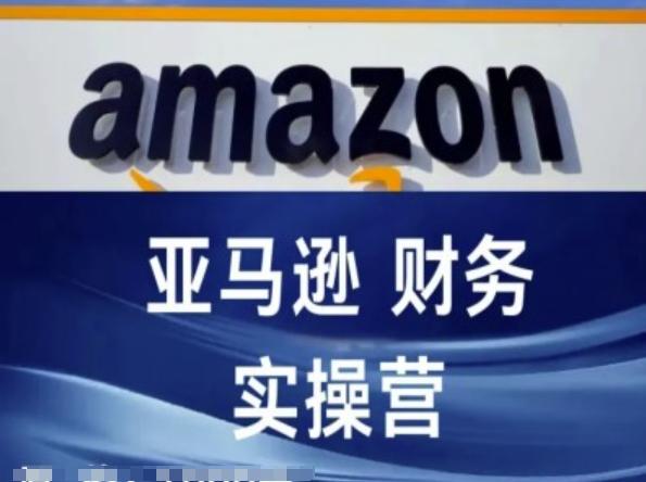 亚马逊财务核算实操营-亚马逊跨境电商教程-点子口袋网