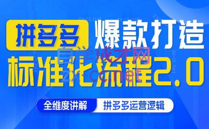 云杉老师·拼多多爆款打造标准化流程2.0-点子口袋网