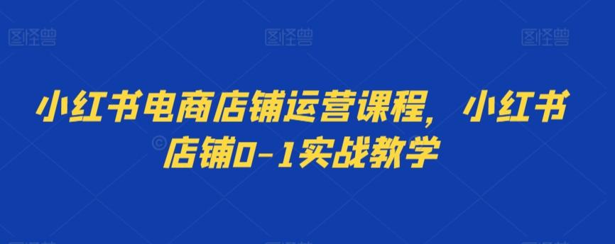 小红书电商店铺运营课程，小红书店铺0-1实战教学-点子口袋网