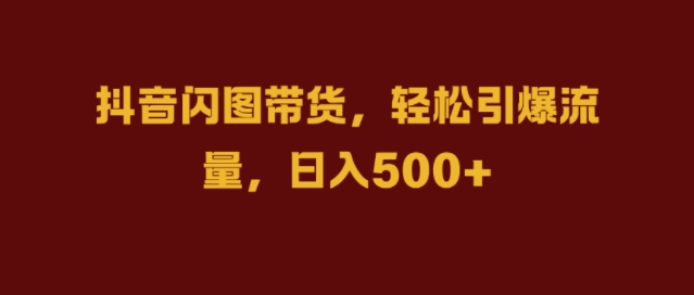 抖音闪图带货，轻松引爆流量，日入几张【揭秘】-点子口袋网