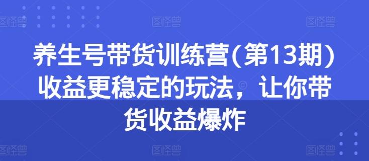 养生号带货训练营(第13期)收益更稳定的玩法，让你带货收益爆炸-点子口袋网