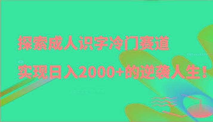 探索成人识字冷门赛道，实现日入2000+的逆袭人生！-点子口袋网