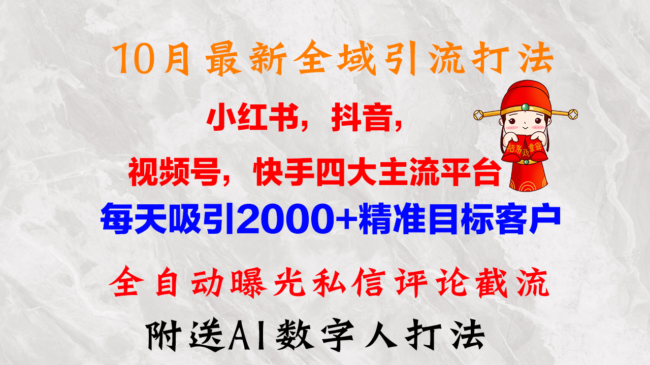 10月最新小红书，抖音，视频号，快手四大平台全域引流，，每天吸引2000...-点子口袋网
