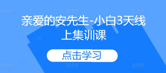 亲爱的安先生-小白3天线上集训课-点子口袋网