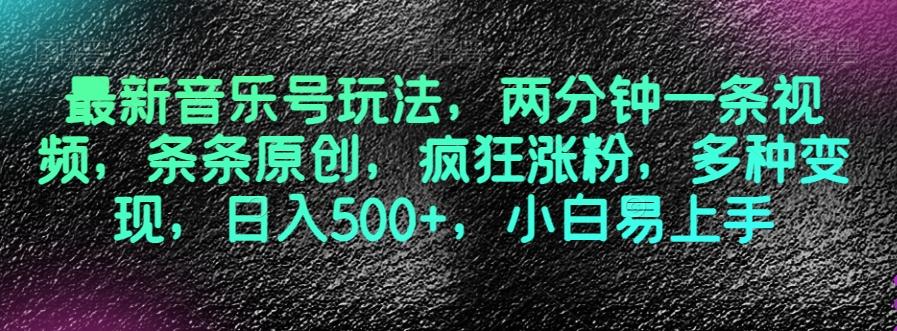 最新音乐号玩法，两分钟一条视频，条条原创，疯狂涨粉，多种变现，日入500+，小白易上手【揭秘】-点子口袋网