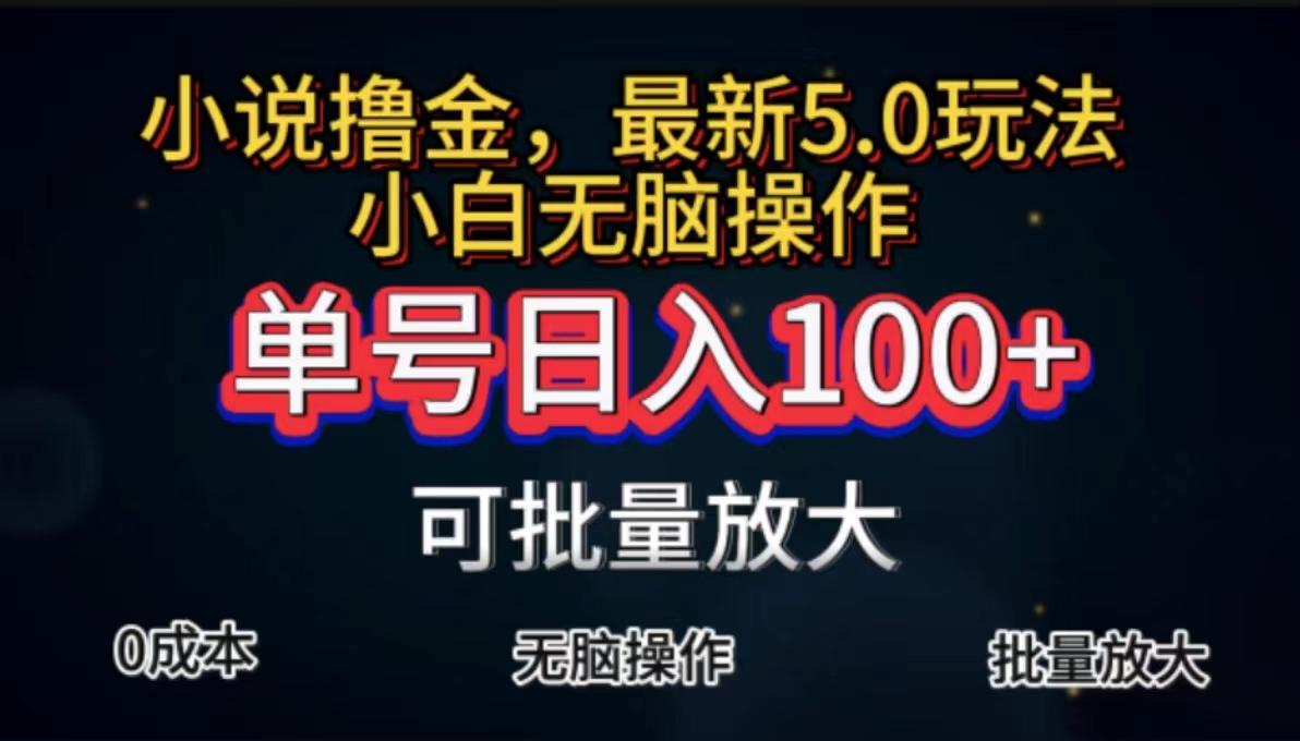 全自动小说撸金，单号日入100+小白轻松上手，无脑操作-点子口袋网