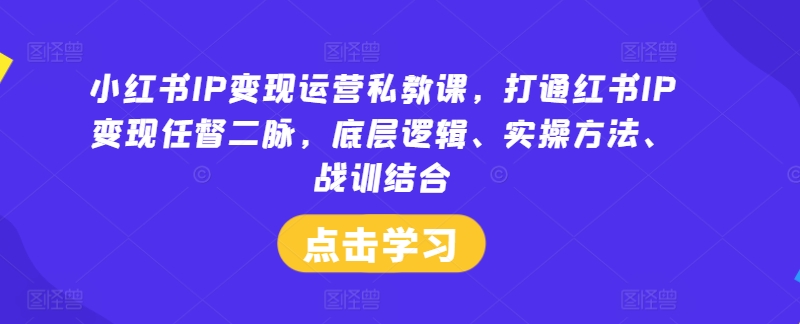小红书IP变现运营私教课，打通红书IP变现任督二脉，底层逻辑、实操方法、战训结合-点子口袋网