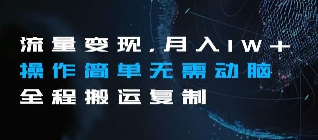 流量变现，月入1W+操作简单无需动脑全程搬运复制【揭秘】-点子口袋网
