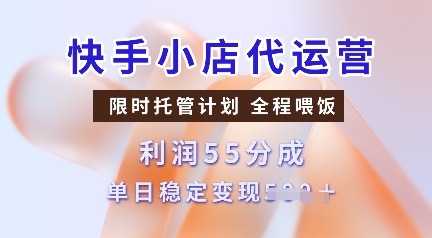 快手小店代运营，限时托管计划，收益55分，单日稳定变现多张【揭秘】-点子口袋网