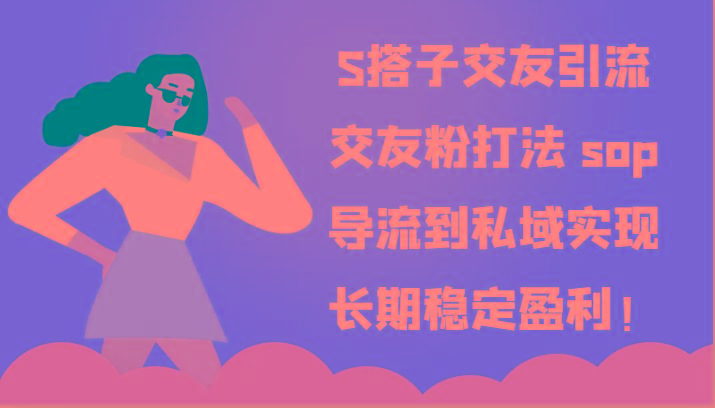 S搭子交友引流，交友粉打法 sop，导流到私域实现长期稳定盈利！-点子口袋网