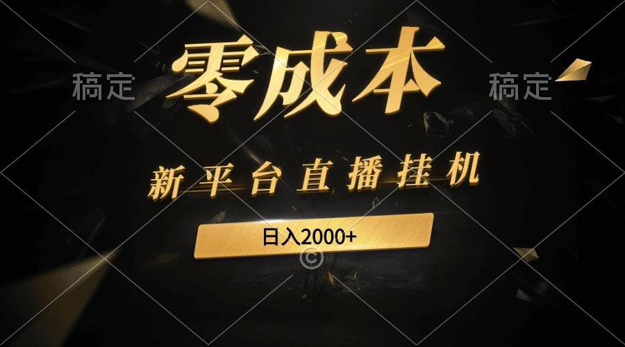 (9841期)新平台直播挂机最新玩法，0成本，不违规，日入2000+-点子口袋网