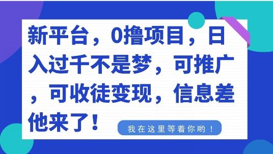 不要再花冤枉钱了，0撸项目，每天坚持，稳定1000+-点子口袋网