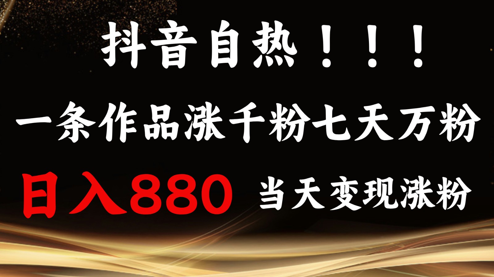 抖音小红书自热，一条作品1000粉，7天万粉，单日变现880收益-点子口袋网