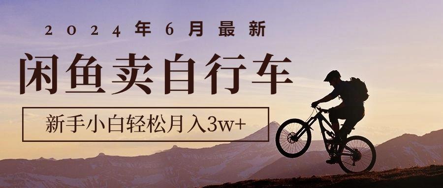 2024年6月最新闲鱼卖自行车，新手小白轻松月入3w+项目-点子口袋网