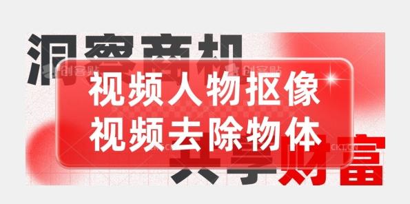 【超强视频处理工具】视频人物抠像+视频去除物体-点子口袋网