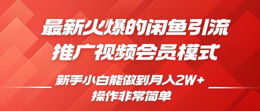闲鱼引流推广影视会员，0成本就可以操作，新手小白月入过W+【揭秘】-点子口袋网