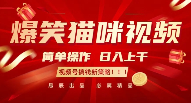 爆笑猫咪视频：简单操作，日入过K，视频号搞钱新策略【揭秘】-点子口袋网