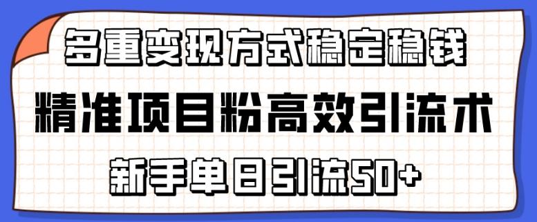 精准项目粉高效引流术，新手单日引流50+，多重变现方式稳定赚钱【揭秘】-点子口袋网