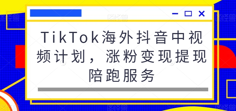 TikTok海外抖音中视频计划，涨粉变现提现陪跑服务-点子口袋网