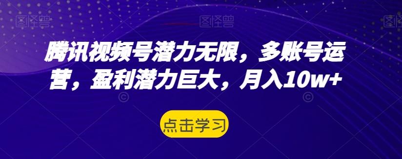 腾讯视频号潜力无限，多账号运营，盈利潜力巨大，月入10w+-点子口袋网