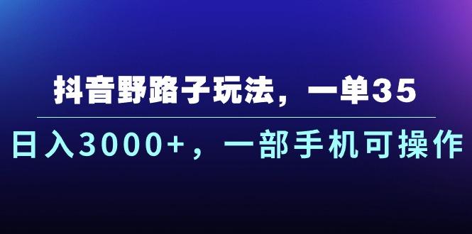 抖音野路子玩法，一单35.日入3000+，一部手机可操作-点子口袋网