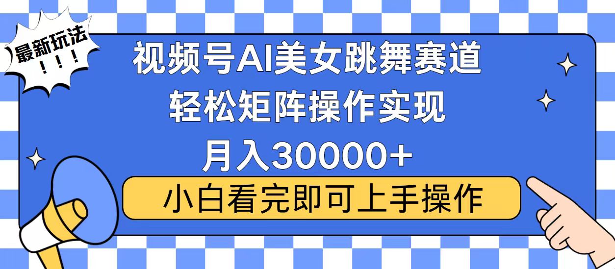 视频号蓝海赛道玩法，当天起号，拉爆流量收益，小白也能轻松月入30000+-点子口袋网