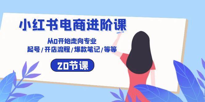 小红书电商进阶课：从0开始走向专业 起号/开店流程/爆款笔记/等等(20节-点子口袋网