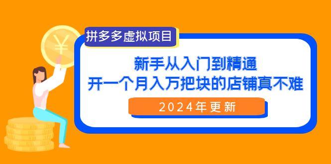 (9744期)拼多多虚拟项目：入门到精通，开一个月入万把块的店铺 真不难(24年更新)-点子口袋网
