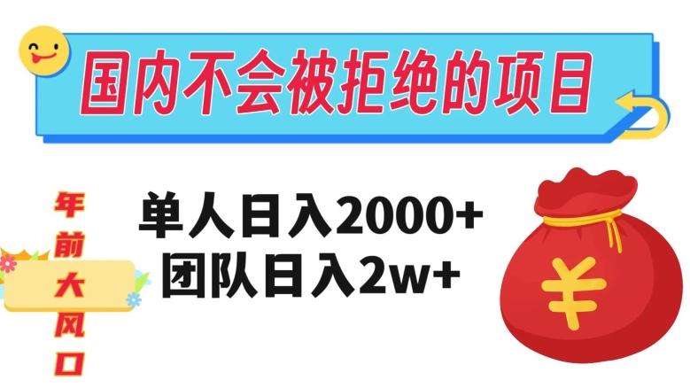 在国内不怕被拒绝的项目，单人日入2000，团队日入20000+【揭秘】-点子口袋网