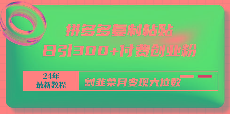 拼多多复制粘贴日引300+付费创业粉，割韭菜月变现六位数最新教程！-点子口袋网