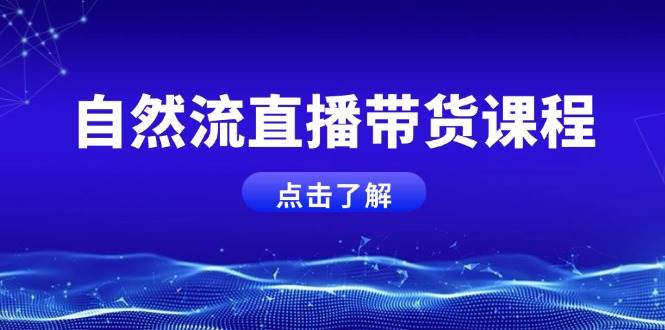 自然流直播带货课程，结合微付费起号，打造运营主播，提升个人能力-点子口袋网