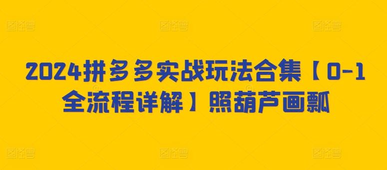 2024拼多多实战玩法合集【0-1全流程详解】照葫芦画瓢-点子口袋网