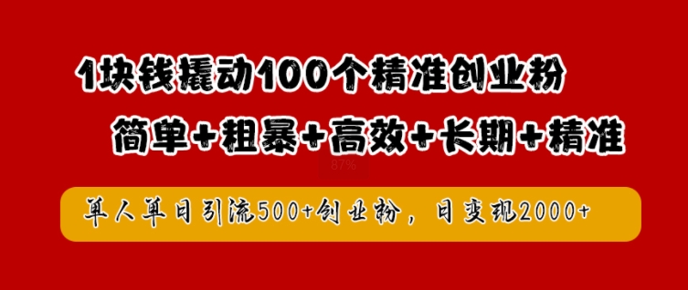 1块钱撬动100个精准创业粉，简单粗暴高效长期精准，单人单日引流500+创业粉，日变现2k【揭秘】-点子口袋网