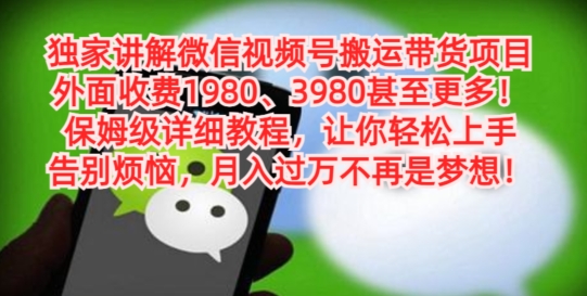 独家讲解微信视频号搬运带货项目，保姆级详细教程-点子口袋网