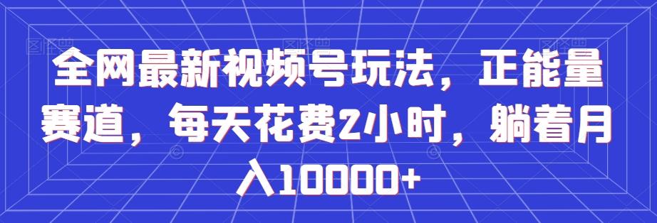 全网最新视频号玩法，正能量赛道，每天花费2小时，躺着月入10000+【揭秘】-点子口袋网