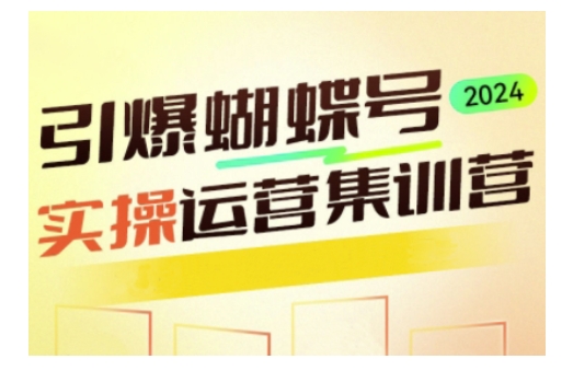 引爆蝴蝶号实操运营，助力你深度掌握蝴蝶号运营，实现高效实操，开启流量变现之路-点子口袋网