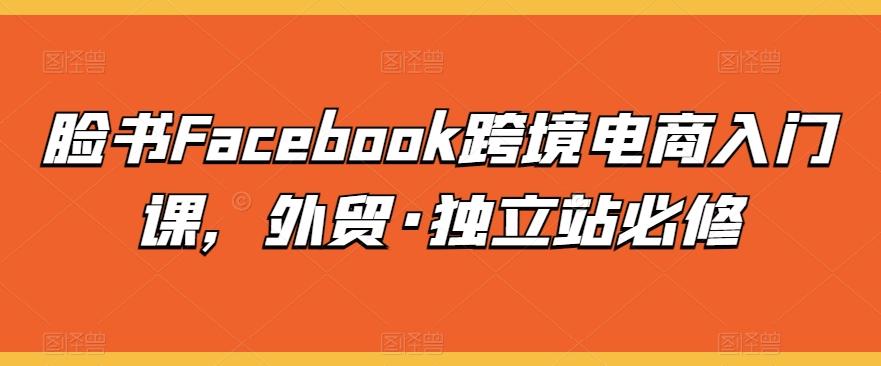 脸书Facebook跨境电商入门课，外贸·独立站必修-点子口袋网