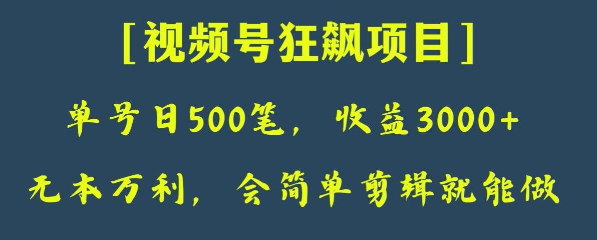 日收款500笔，纯利润3000+，视频号狂飙项目，会简单剪辑就能做【揭秘】-点子口袋网