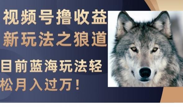 视频号撸收益新玩法之狼道，目前蓝海玩法，轻松月入过万【揭秘】-点子口袋网