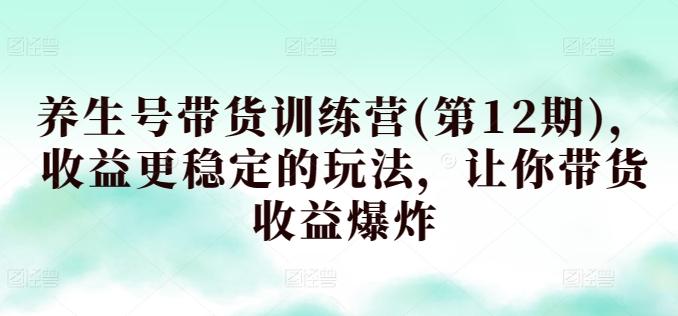 养生号带货训练营(第12期)，收益更稳定的玩法，让你带货收益爆炸-点子口袋网