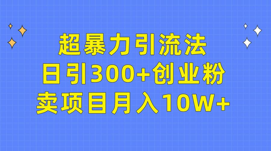 (9954期)超暴力引流法，日引300+创业粉，卖项目月入10W+-点子口袋网