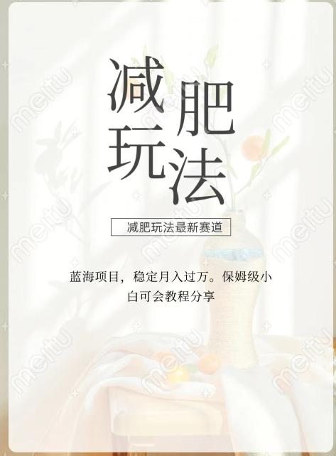 减肥流量主新玩法，轻松月入1W，可矩阵操作收入翻倍-点子口袋网