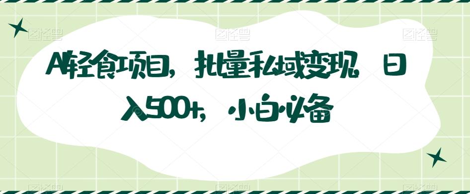 AI轻食项目，批量私域变现，日入500+，小白必备-点子口袋网