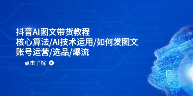 抖音AI图文带货教程：核心算法/AI技术运用/如何发图文/账号运营/选品/爆流-点子口袋网