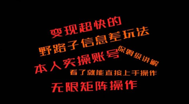 变现超快的野路子信息差玩法，本人实操账号保姆级讲解-点子口袋网
