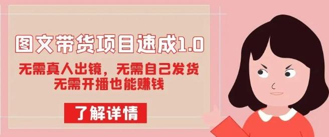 图文带货项目速成1.0：无需真人出镜，无需自己发货，无需开播也能赚钱！-点子口袋网
