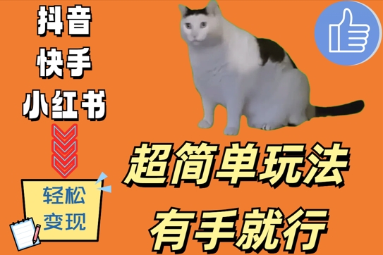 超简单玩法，有手就行，靠猫咪视频日入500+【揭秘】-点子口袋网
