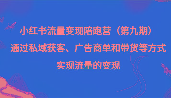 小红书流量变现陪跑营（第九期）通过私域获客、广告商单和带货等方式实现流量变现-点子口袋网