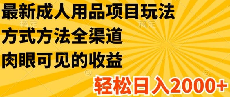 最新成人用品项目玩法，方式方法全渠道，轻松日入2K+【揭秘】-点子口袋网